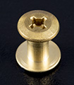 Real Brass Chicago Screws