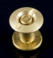 Brass Plated Steel Chicago Screws